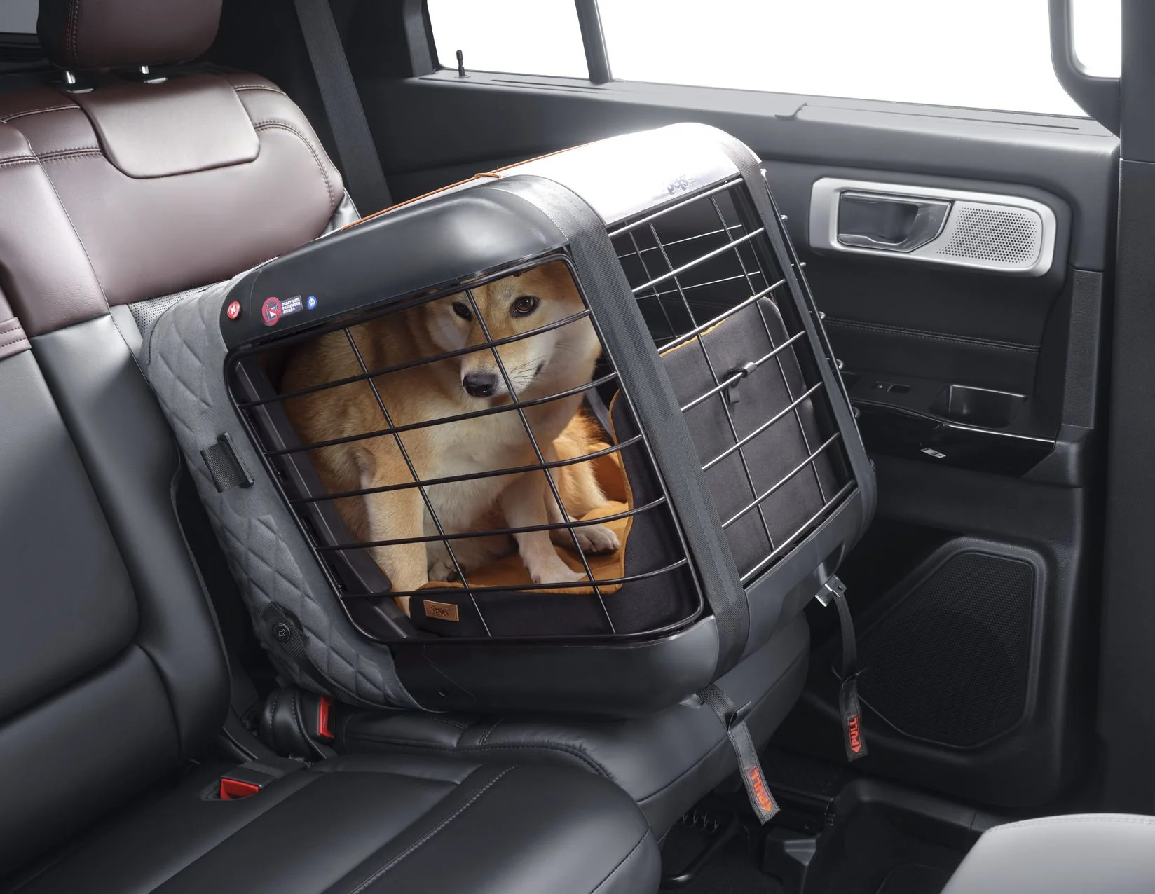 4pets®* Sistema de sujeción ISOFIX Caree para jaulas de transporte Caree con mascotas de hasta 15 kg - Image 5