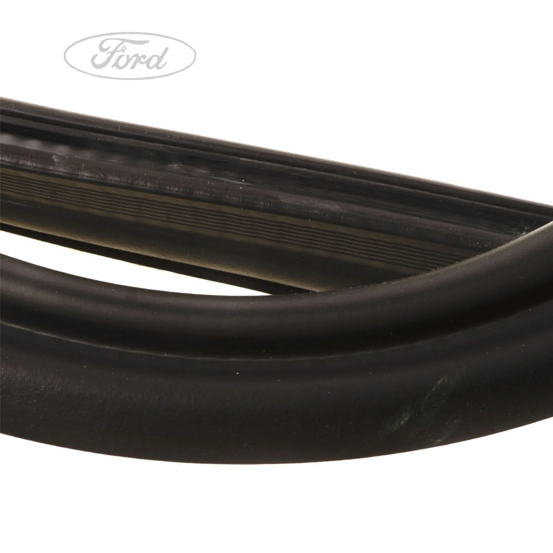 Ford Fiesta 2008-2019 Burlete Puerta Delantera Negra 1747419 - Image 5
