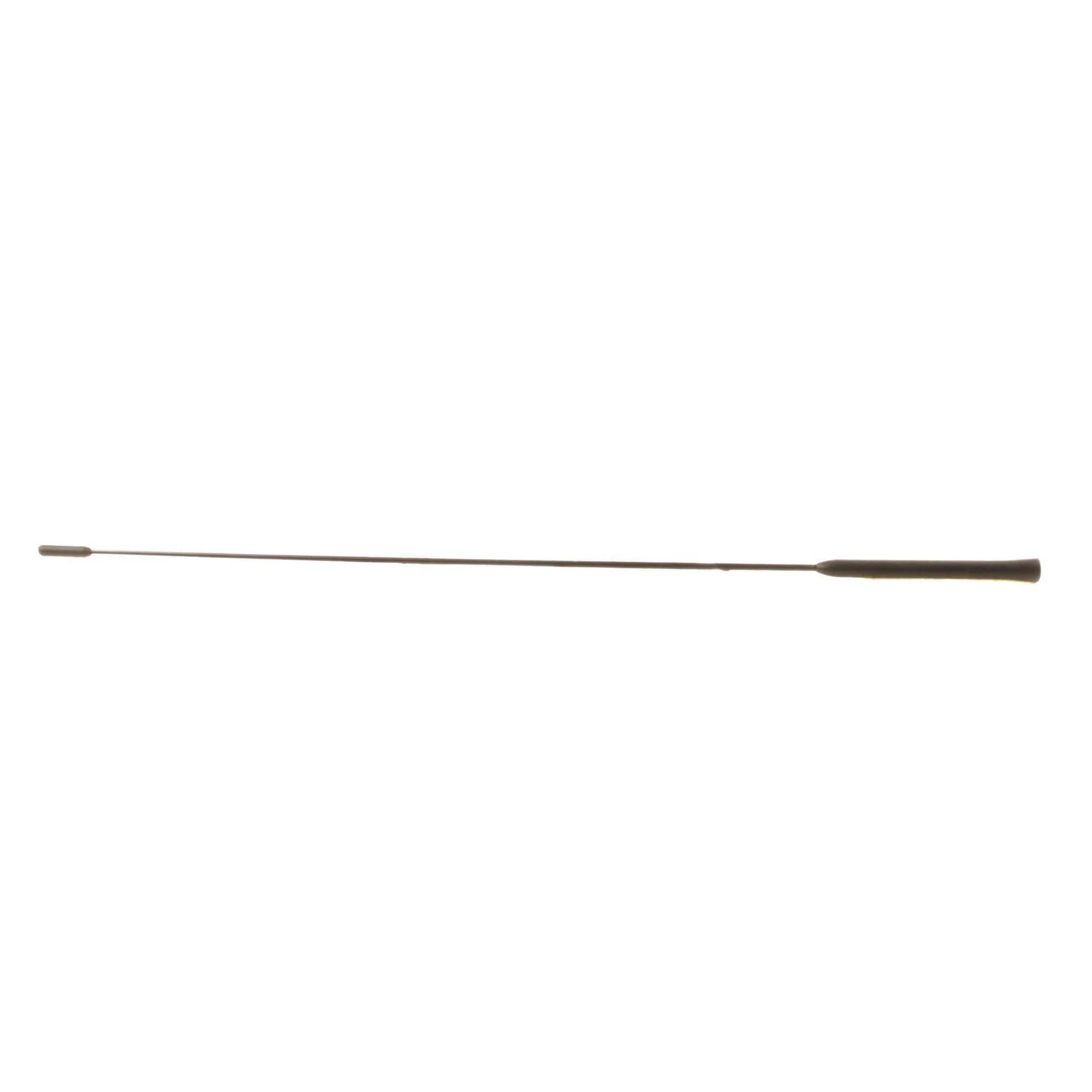 Focus 1998-2024 Varilla de Antena de Repuesto Negro