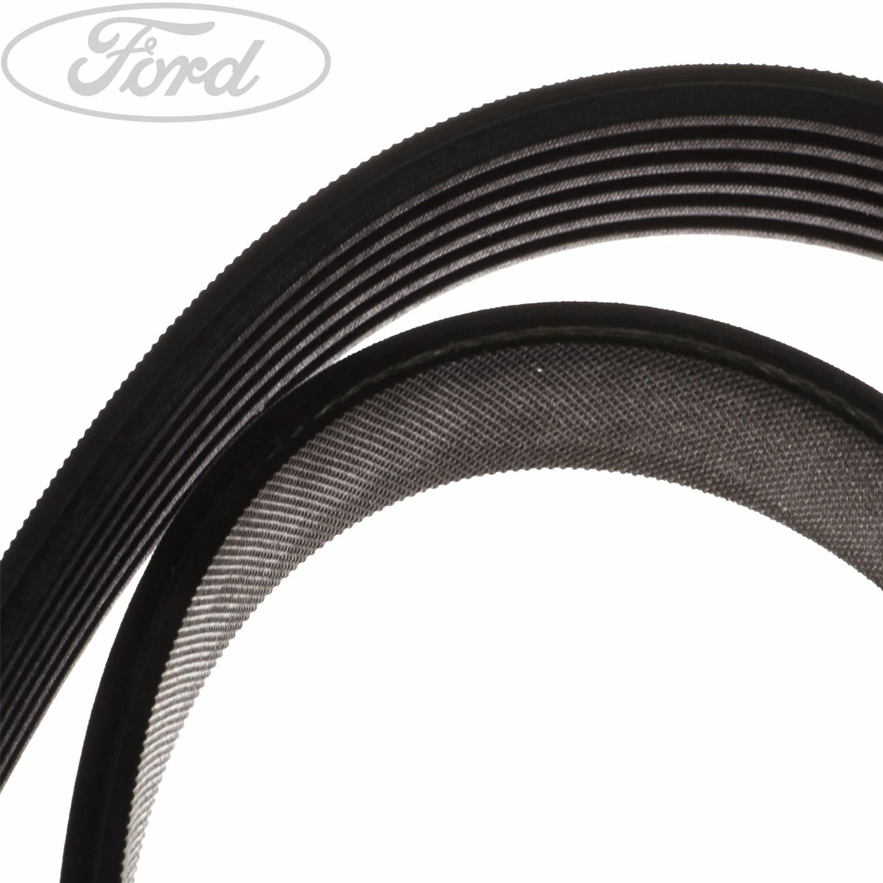 Ford Focus 2011-2019 Correa V Sin Aire Acond. Motor Estándar 1761929 - Image 4