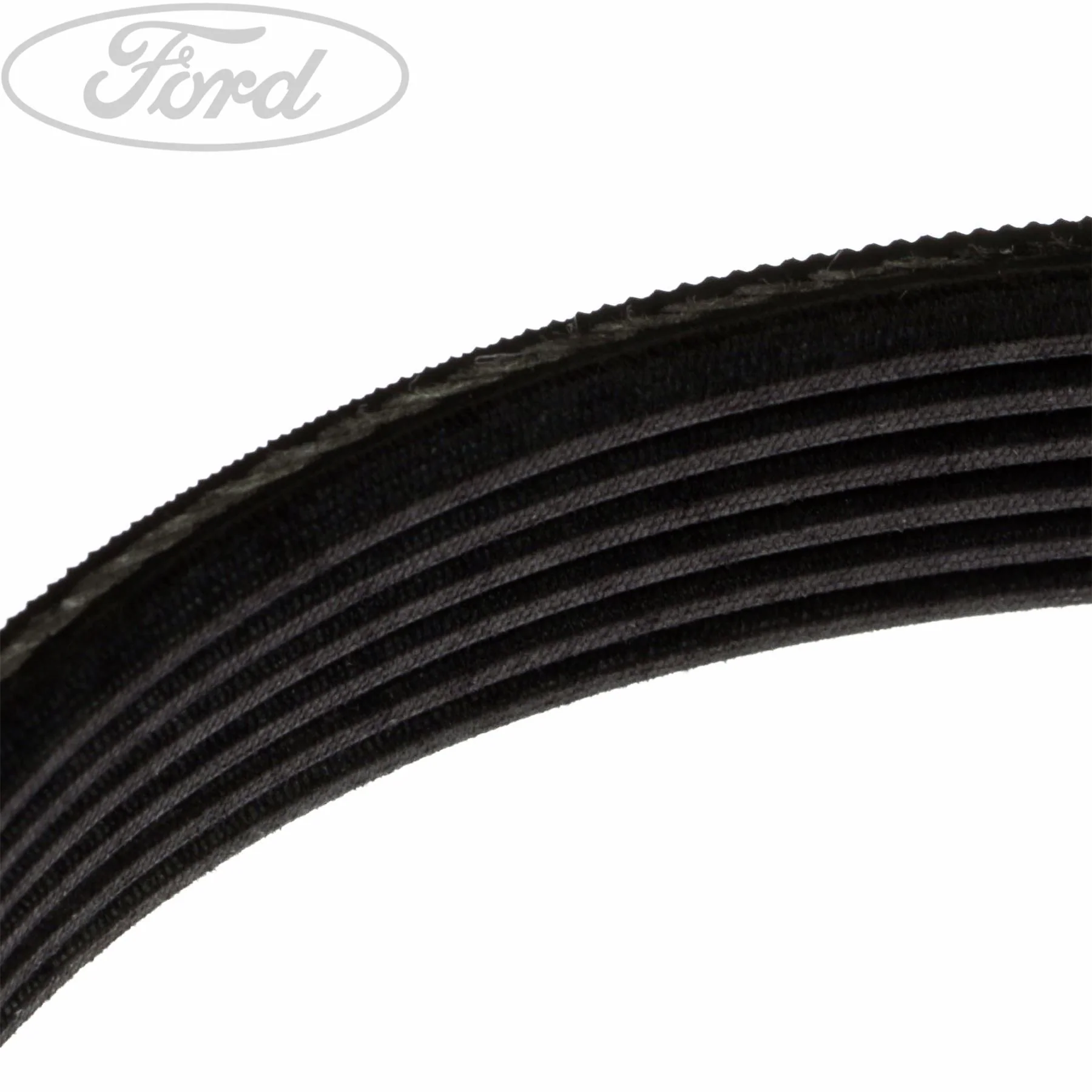 Ford Focus 2011-2019 Correa V Sin Aire Acond. Motor Estándar 1761929 - Image 5
