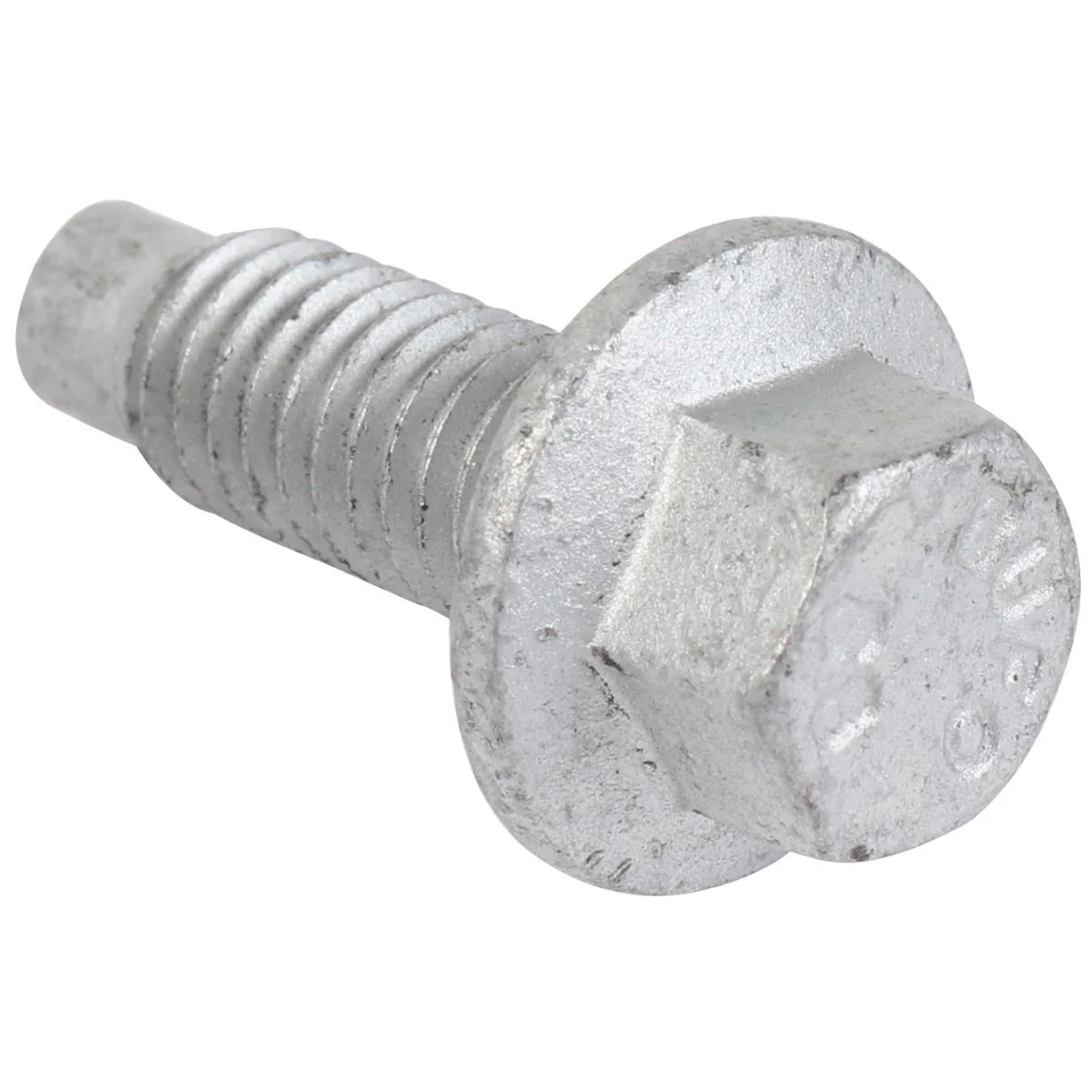 Focus Tornillo - Image 3