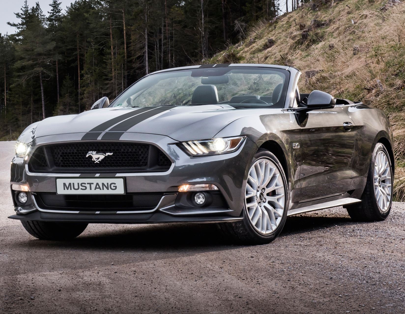 Mustang herpa print* Franjas de competición para la línea superior del vehículo - Image 3