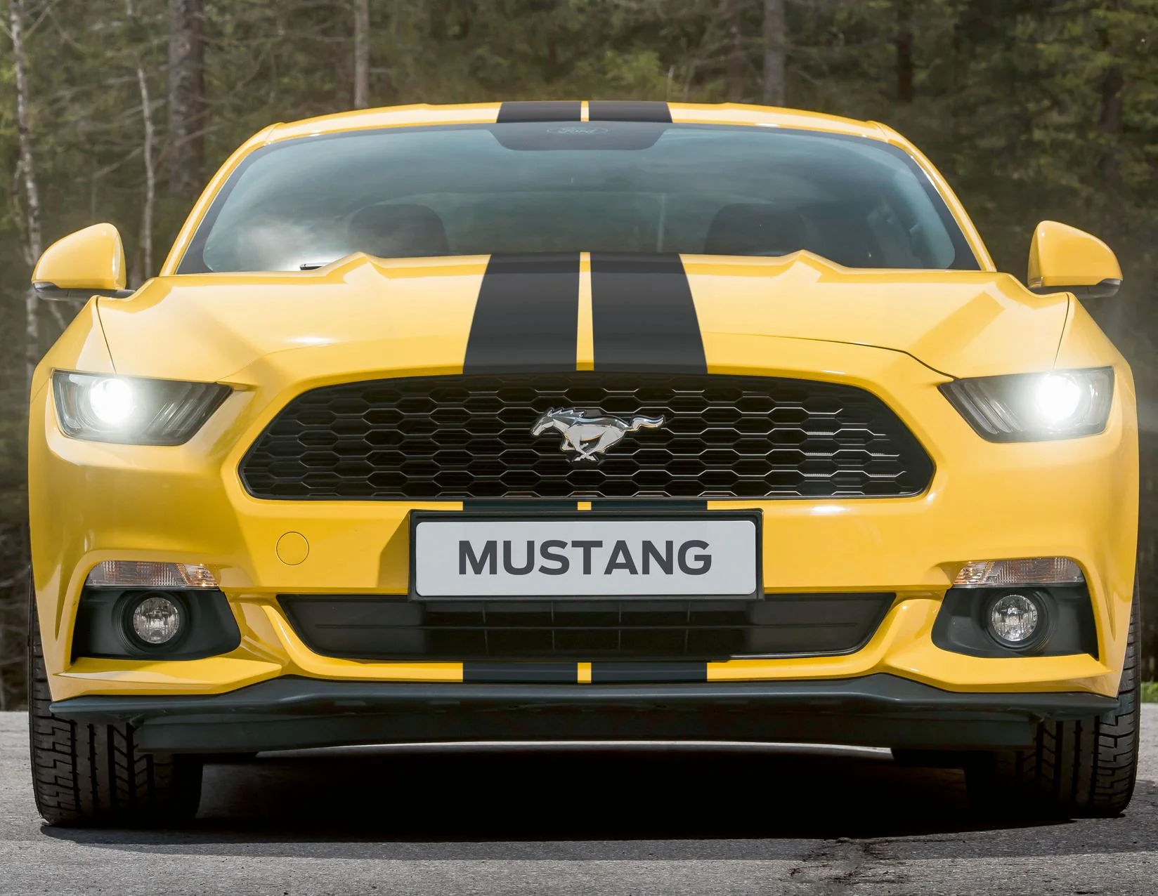 Mustang herpa print* Franjas de competición para la línea superior del vehículo - Image 4