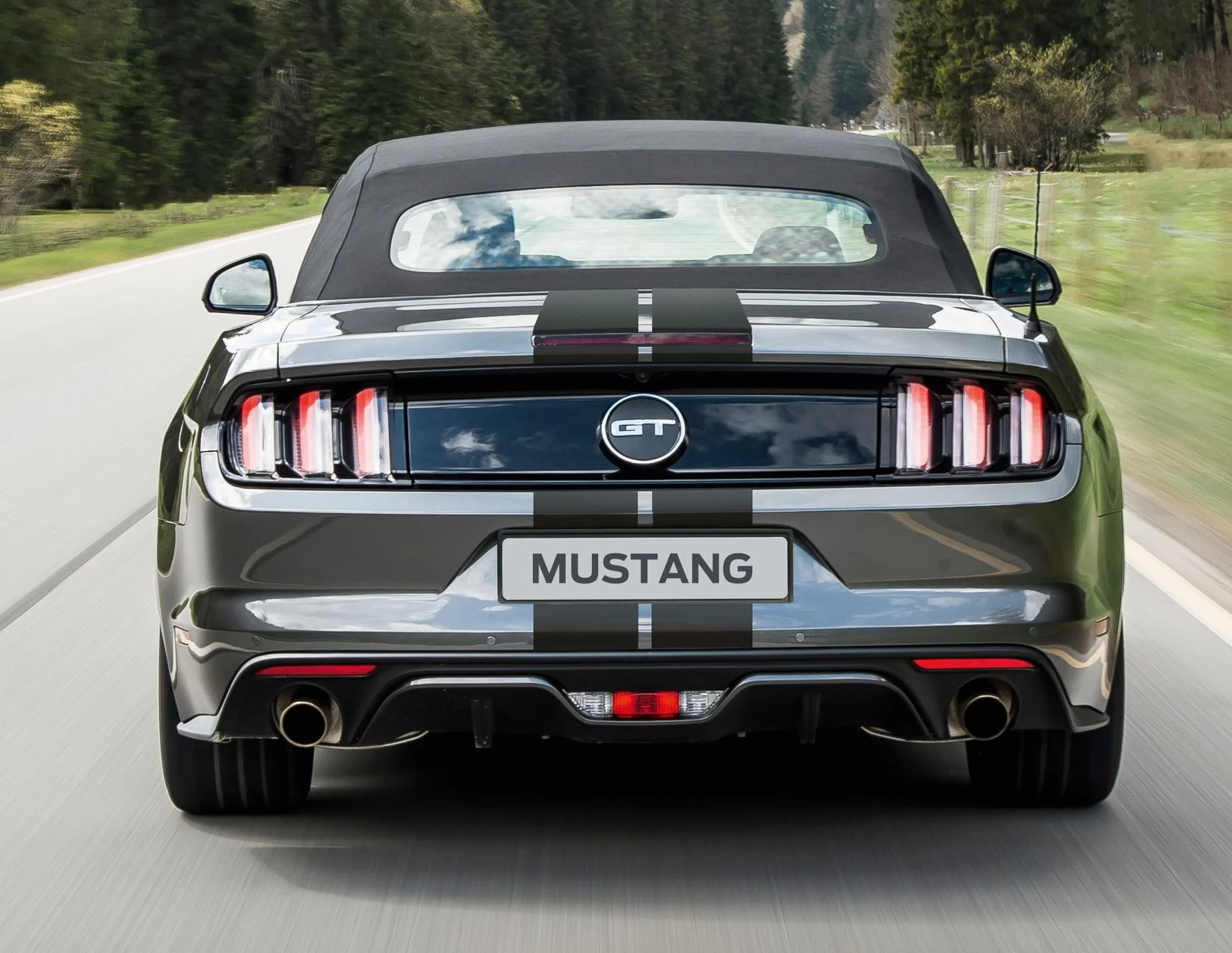 Mustang herpa print* Franjas de competición para la línea superior del vehículo - Image 5