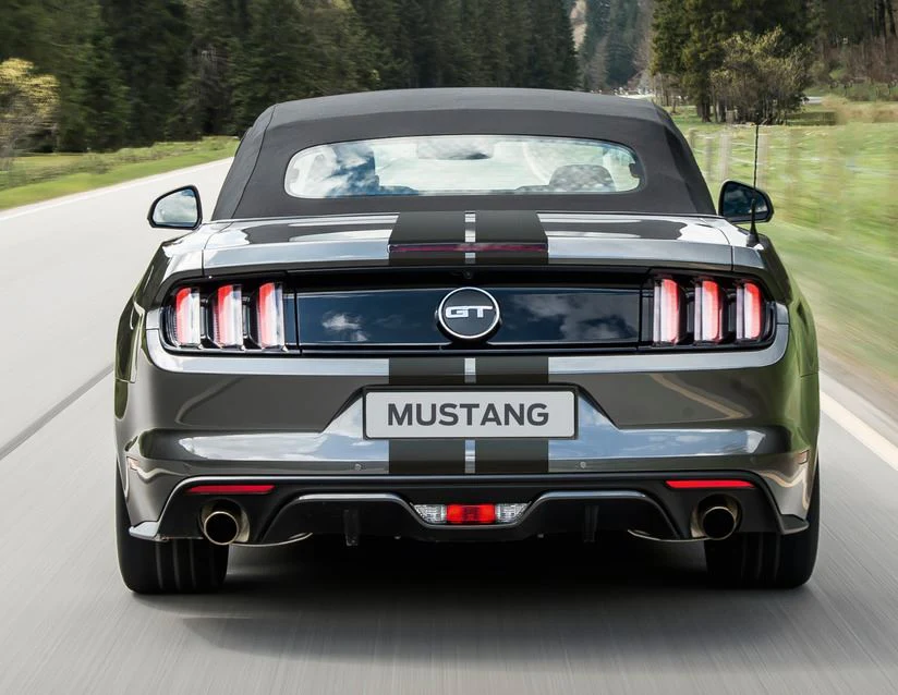 Mustang herpa print* Franjas de competición para la línea superior del vehículo - Image 8