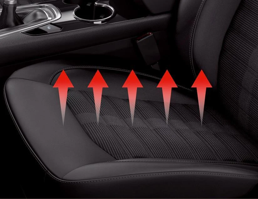 Xvision (SCC)* Kit de calefactado de asientos para un asiento. - Image 79